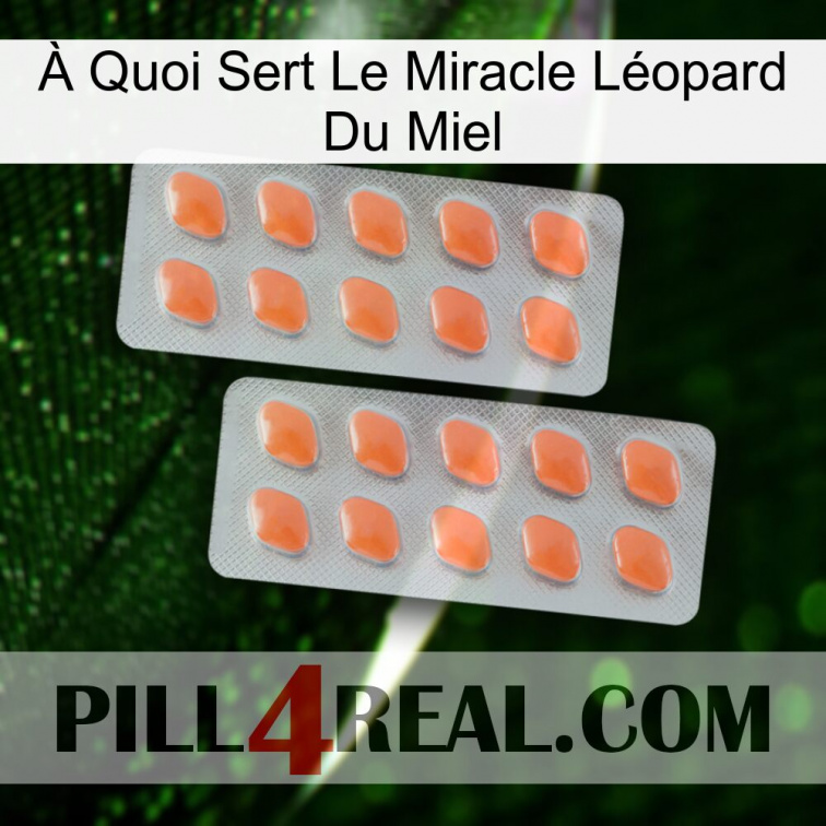 À Quoi Sert Le Miracle Léopard Du Miel 27